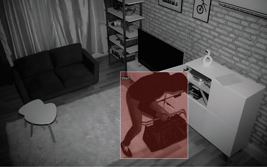 Vista Focus Camera (official Retailer) 2025